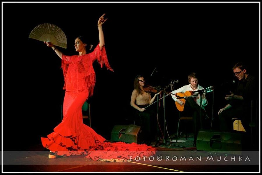 LA MAGIA DEL FLAMENCO — fotka 7