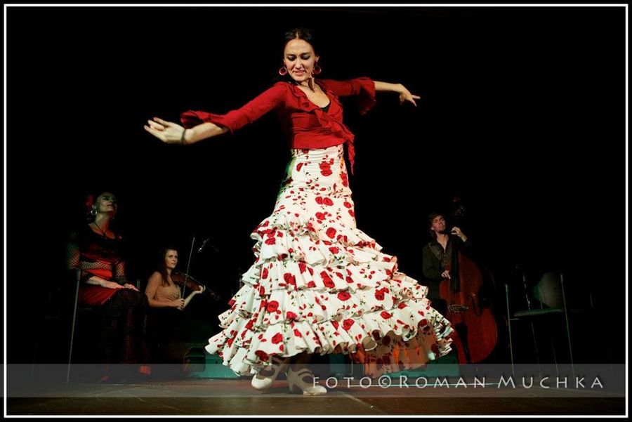 LA MAGIA DEL FLAMENCO — fotka 4