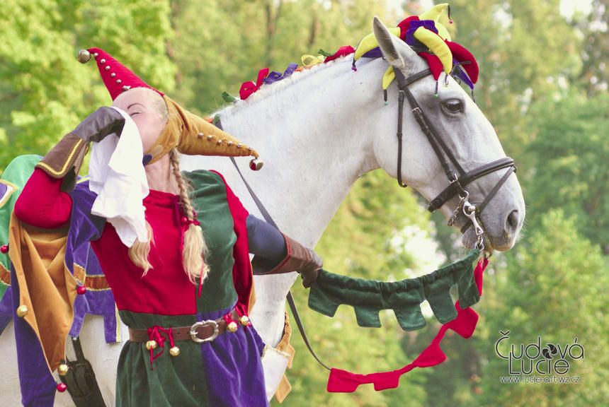 Šašek královský — fotka 5