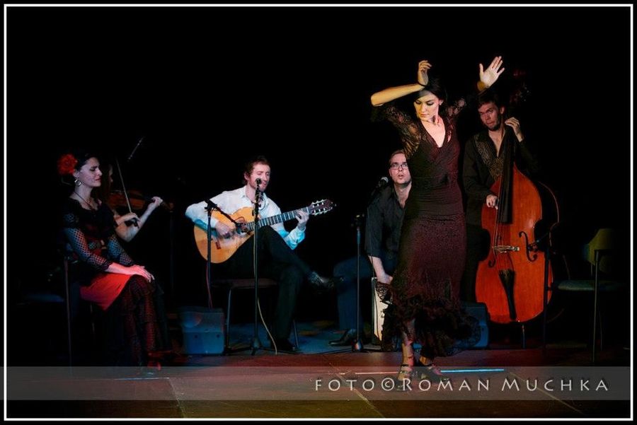 LA MAGIA DEL FLAMENCO — fotka 6