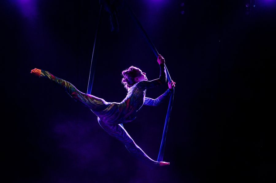  Aerial hammock - Forest balade | Aurora Acro — fotka 2
