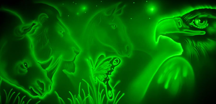 Light Art Show — fotka 4