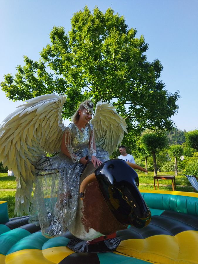 Elektrický býk - rodeo atrakce — fotka 3
