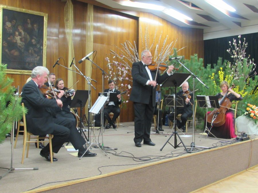 Salonní Orchestr Brno — fotka 3