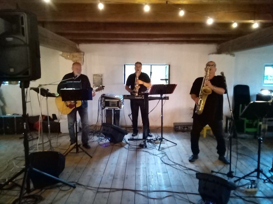 Dandy Band - plesová a svatební kapela — fotka 2