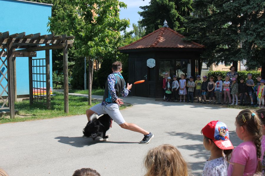 Kouzelník se psem — fotka 2