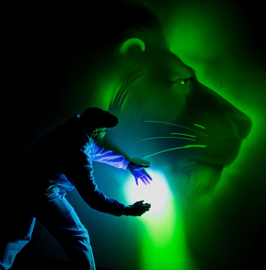 Light Art Show — fotka 2